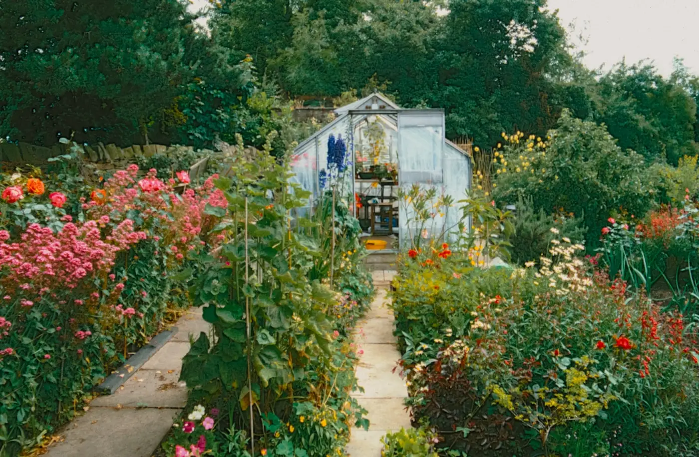 Path winding through a cottage garden in bloom