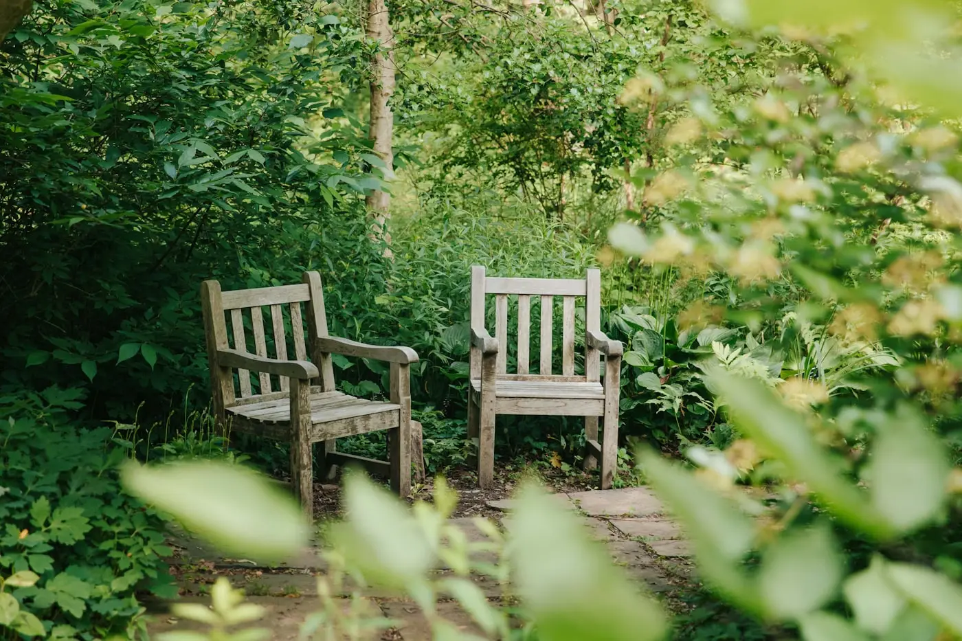Garden bench almost swallowed by overgrowth