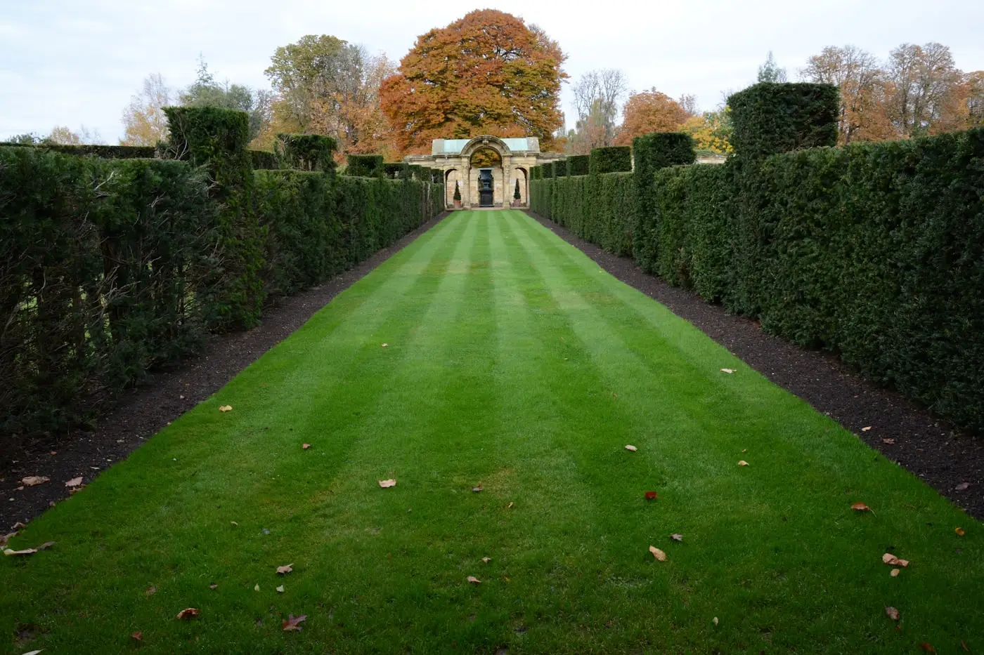 Freshly striped lawn running the length of a garden