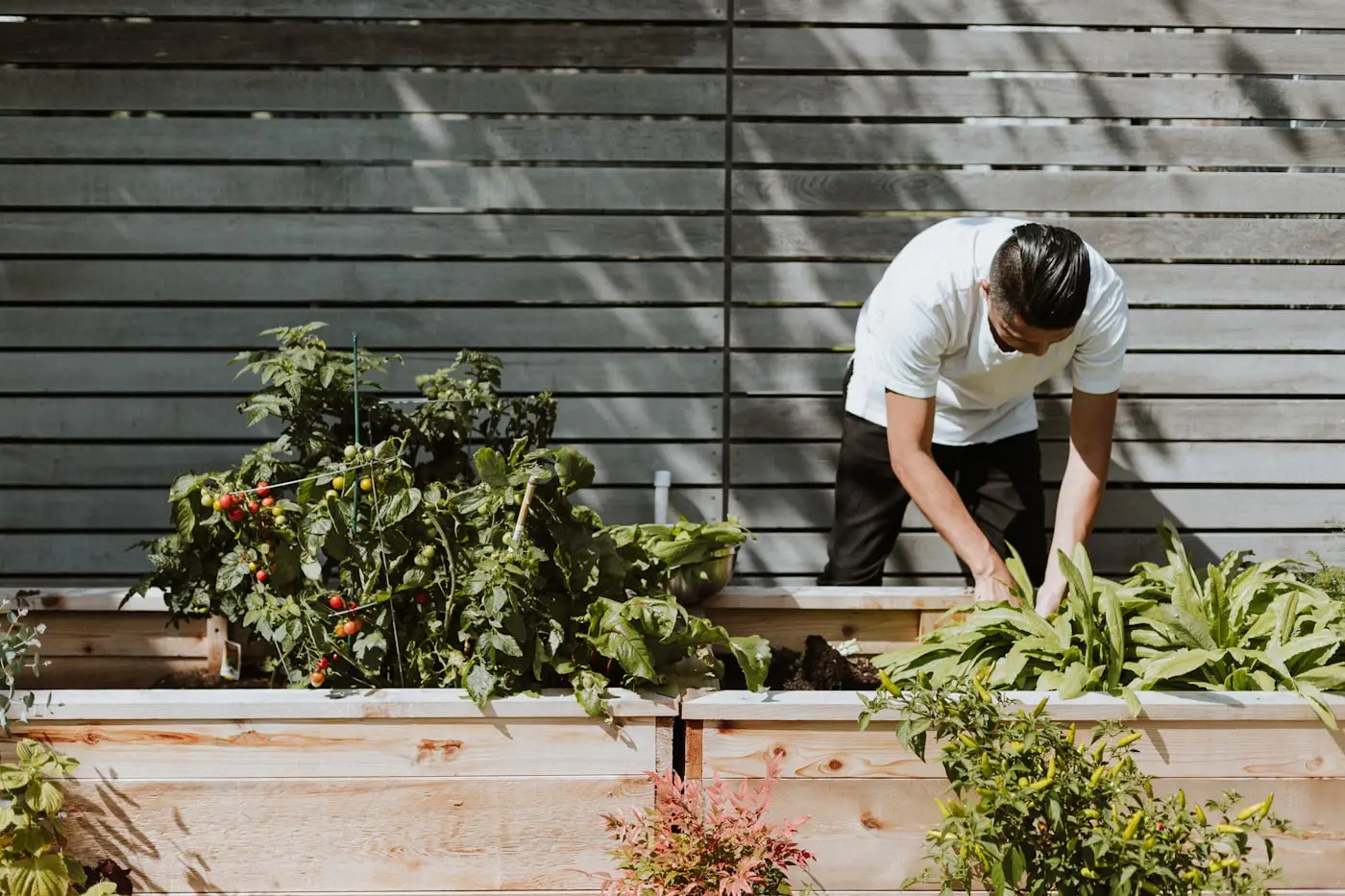 Gardener working through a planted bed